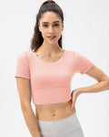 Crisantema Top Corto - Rosa
